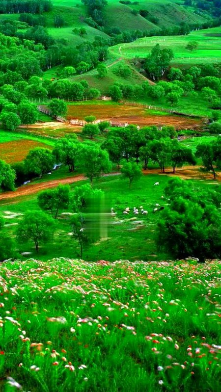 Beautiful Nature image