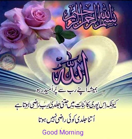 Good morning