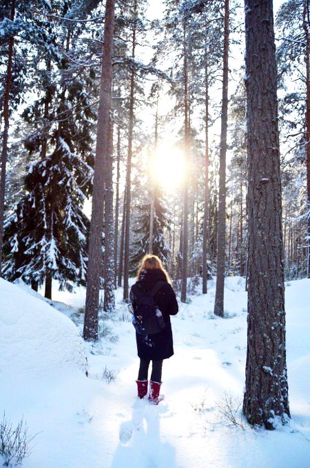 Beautiful Nature image