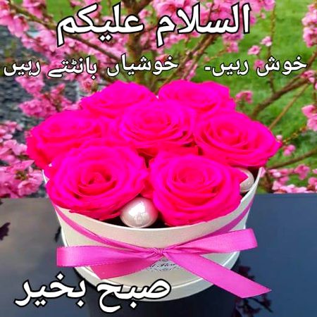 Good morning