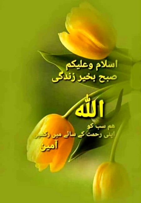 Good morning