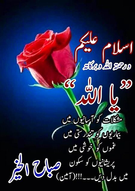 Good morning