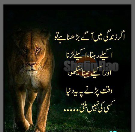 Motivational Quotes image