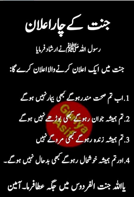 Islamic Quotes image