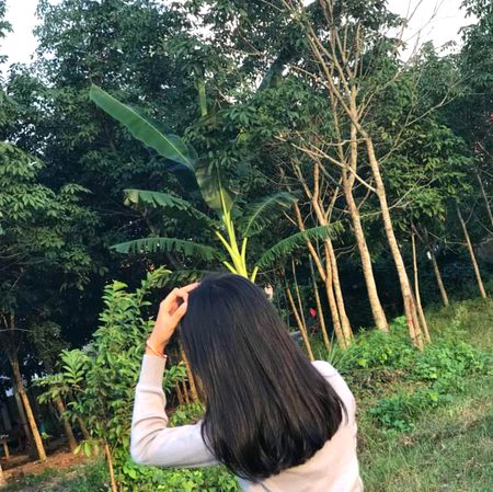 Beautiful Nature image