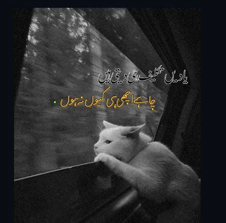 Good morning