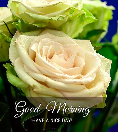 Beautiful Nature image