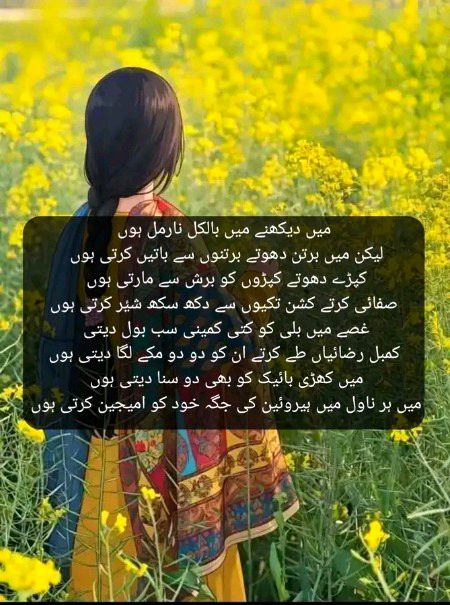 Attitude Quotes image