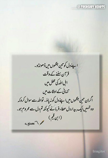 Islamic Quotes image