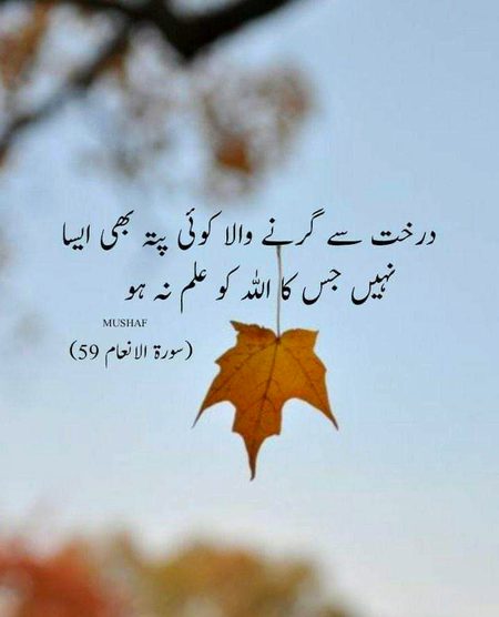 Islamic Quotes image