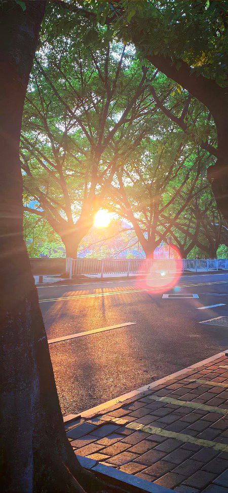 Beautiful Nature image