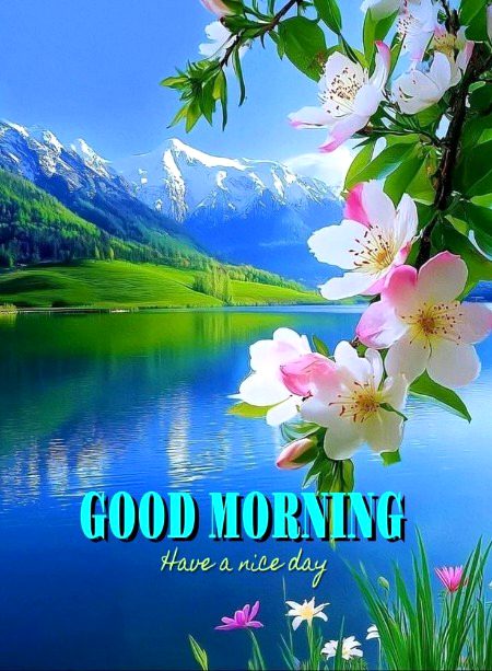 Beautiful Nature image
