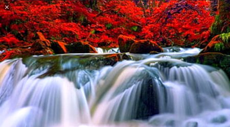 Beautiful Nature image