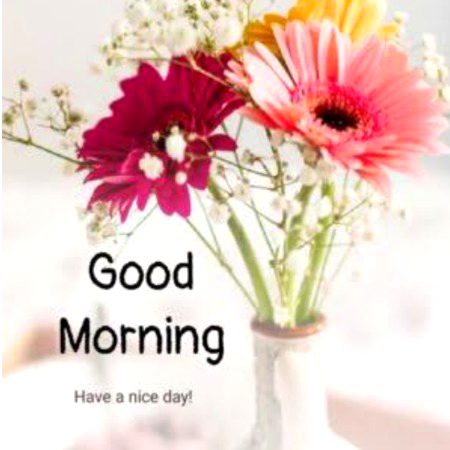 Good morning
