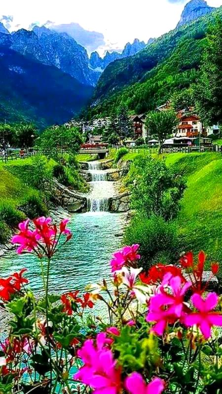 Beautiful Nature image
