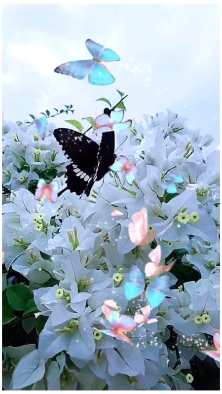 Beautiful Nature image