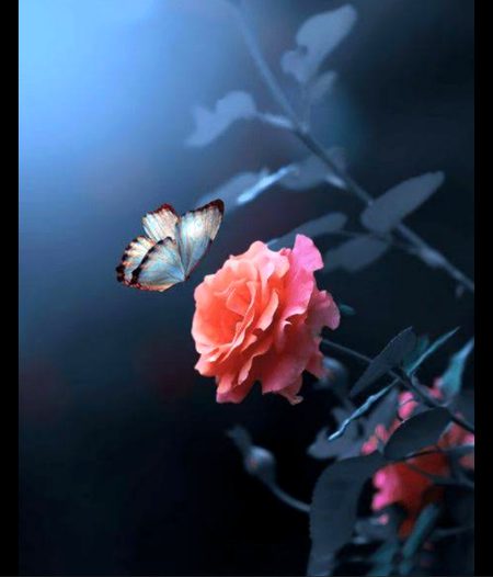 Digital Art image