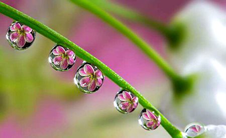 Beautiful Nature image