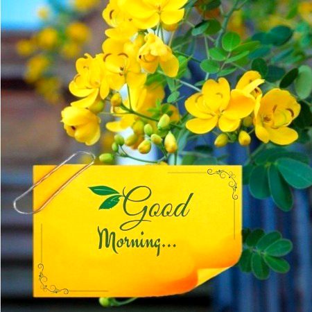Beautiful Nature image