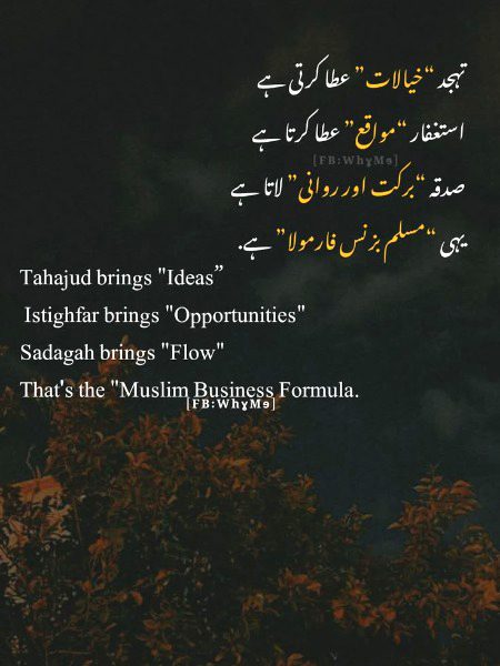 Islamic Quotes image