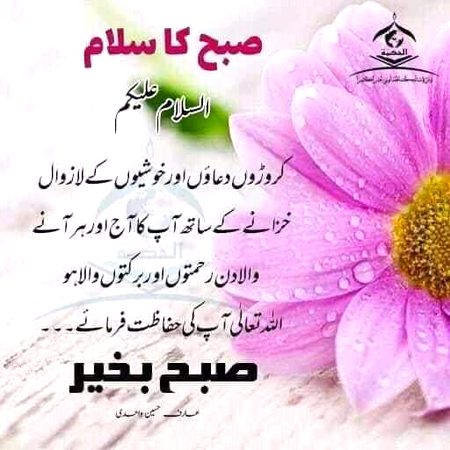 Good morning