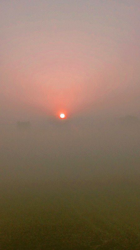 Beautiful Nature image