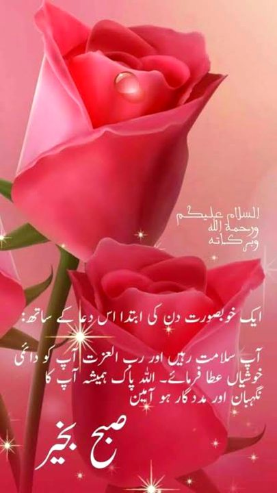 Good morning
