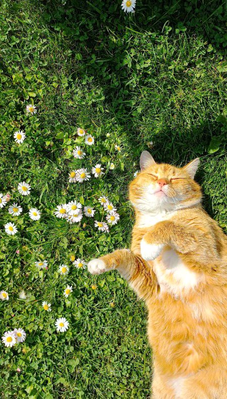 Beautiful Nature image