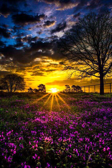 Beautiful Nature image