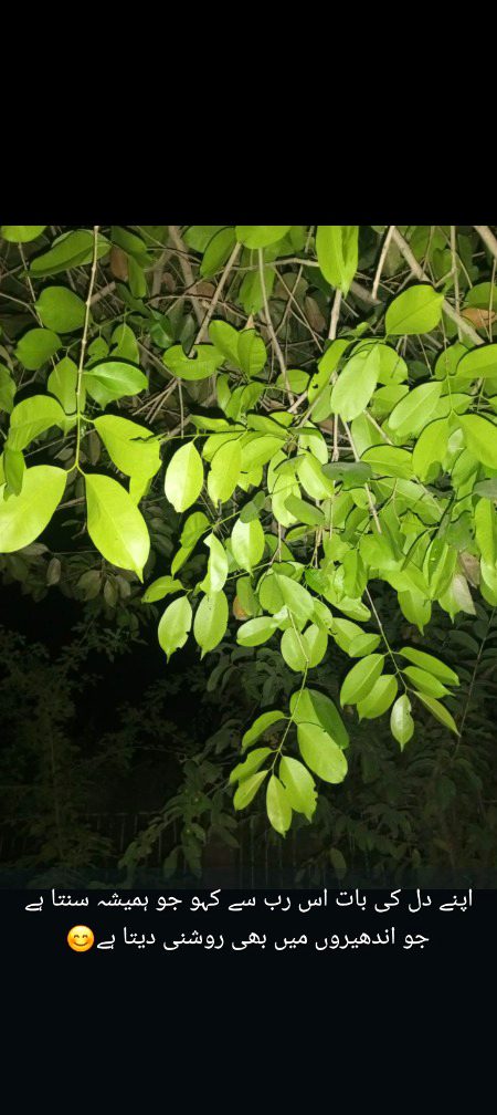 Beautiful Nature image