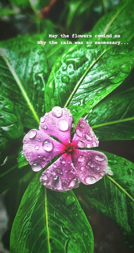 Beautiful Nature image