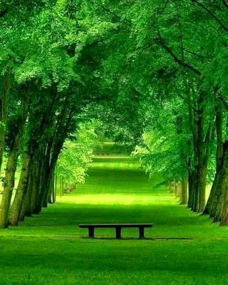 Beautiful Nature image