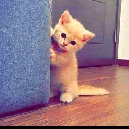 Beautiful Nature image