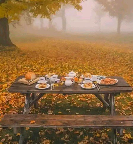 Beautiful Nature image