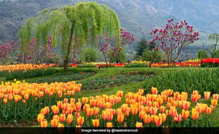 Beautiful Nature image