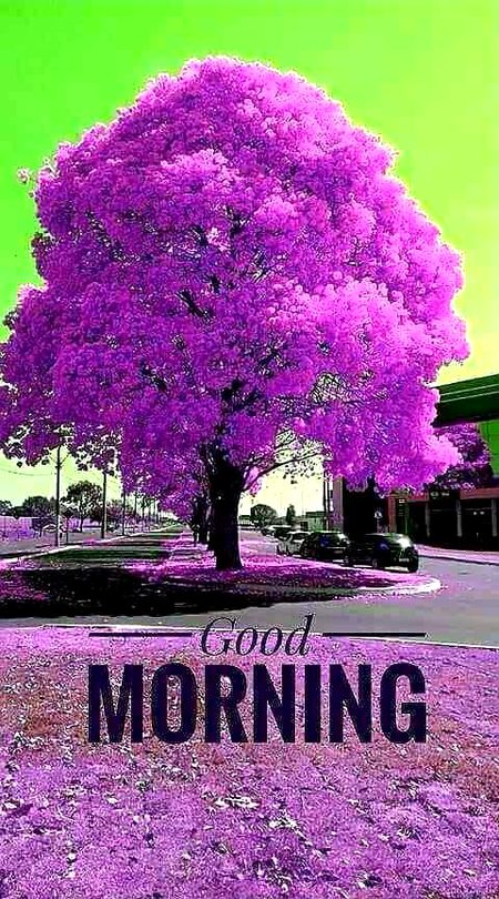 Good morning