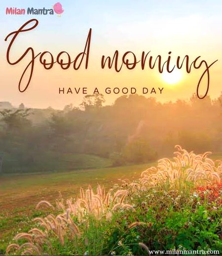 Motivational Quotes image