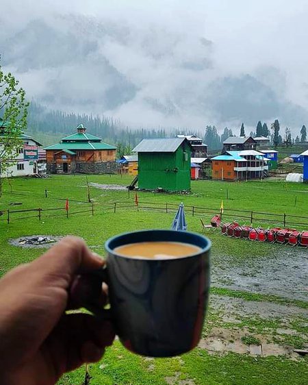 Beautiful Nature image