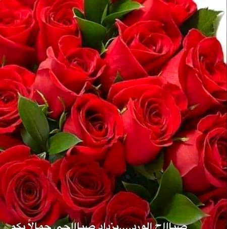 Beautiful Nature image