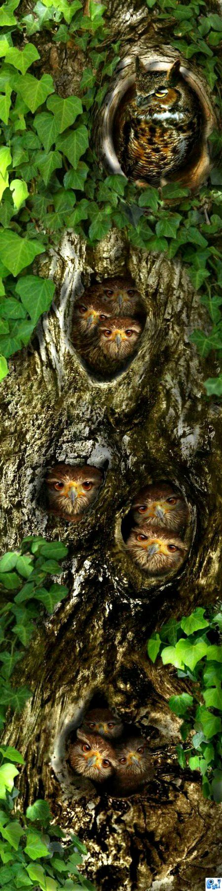 Beautiful Nature image