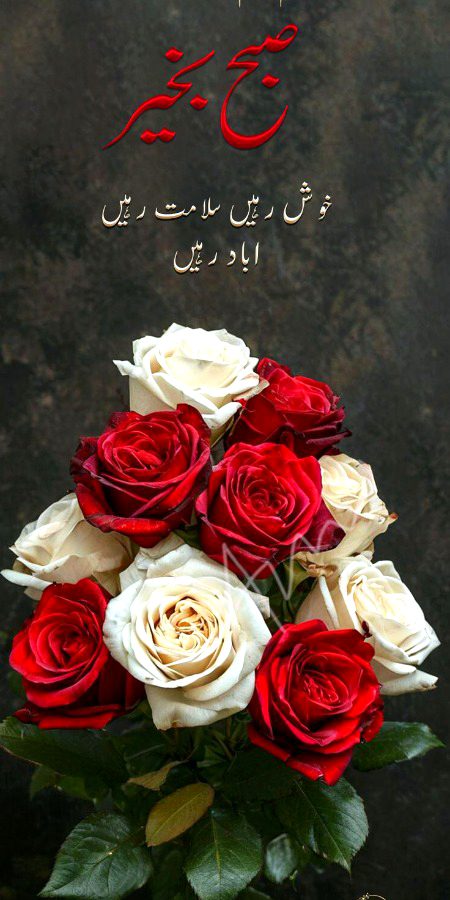Beautiful Nature image
