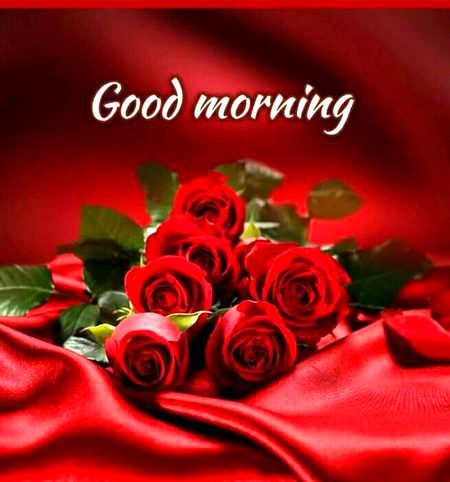 Beautiful Nature image