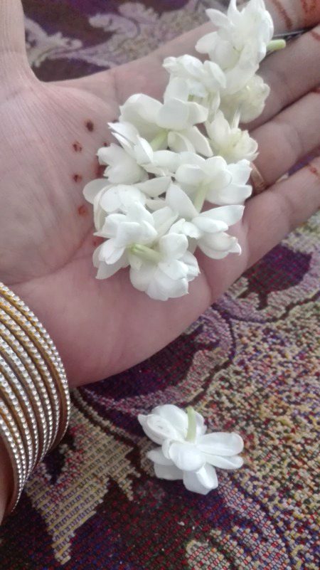 Beautiful Nature image