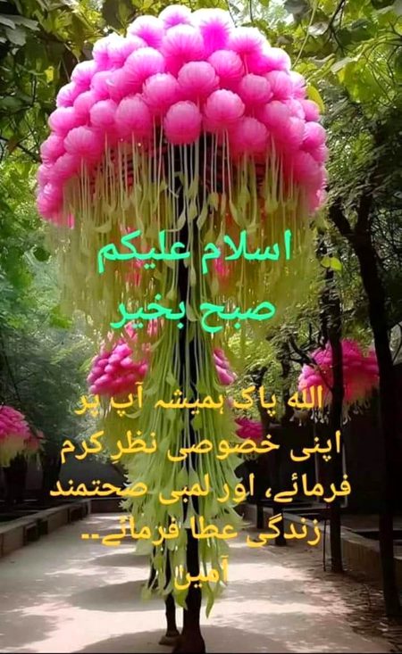 Good morning