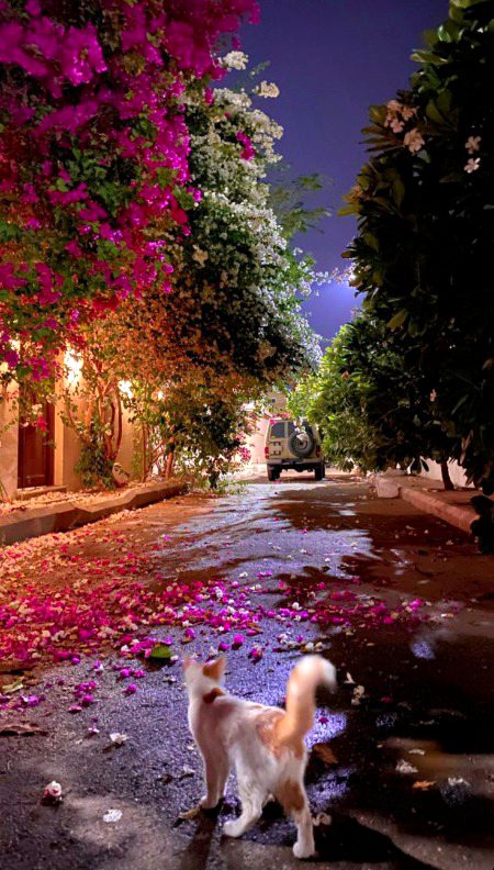 Beautiful Nature image