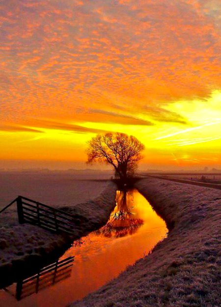 Beautiful Nature image