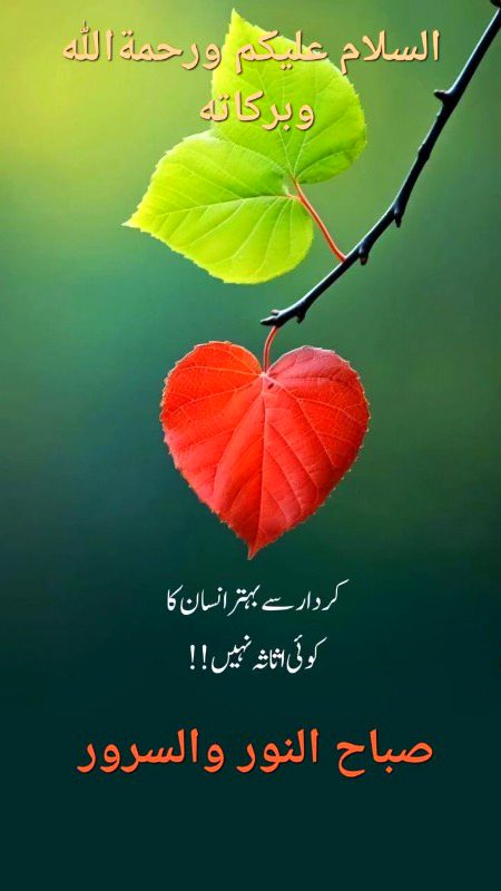 Good morning