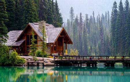 Beautiful Nature image