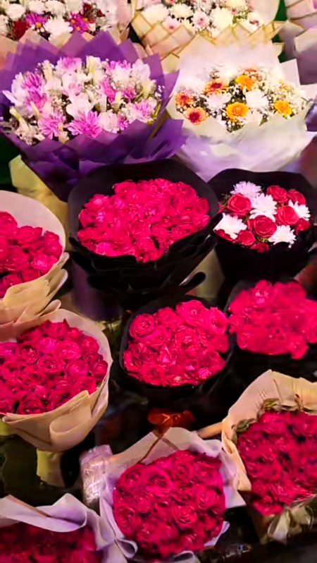 Beautiful Nature image