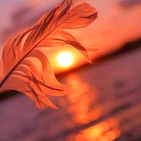 Beautiful Nature image